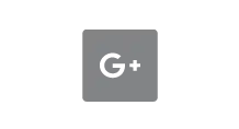 Logo google